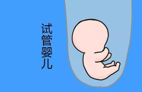 捐卵供卵咨询
